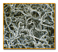 Picture of silicon carbide scotchbrite™ material at a microscopic