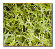 Picture of high performance aluminum oxide scotchbrite™ material at a microscopic